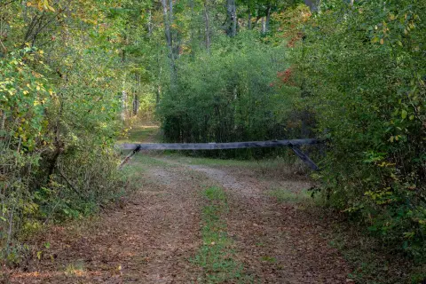 Residential Land on W Pine River