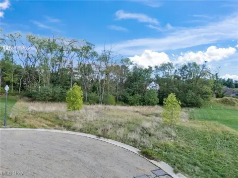 Massillon Land in Carrington West