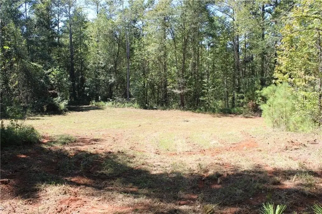 Picture 2