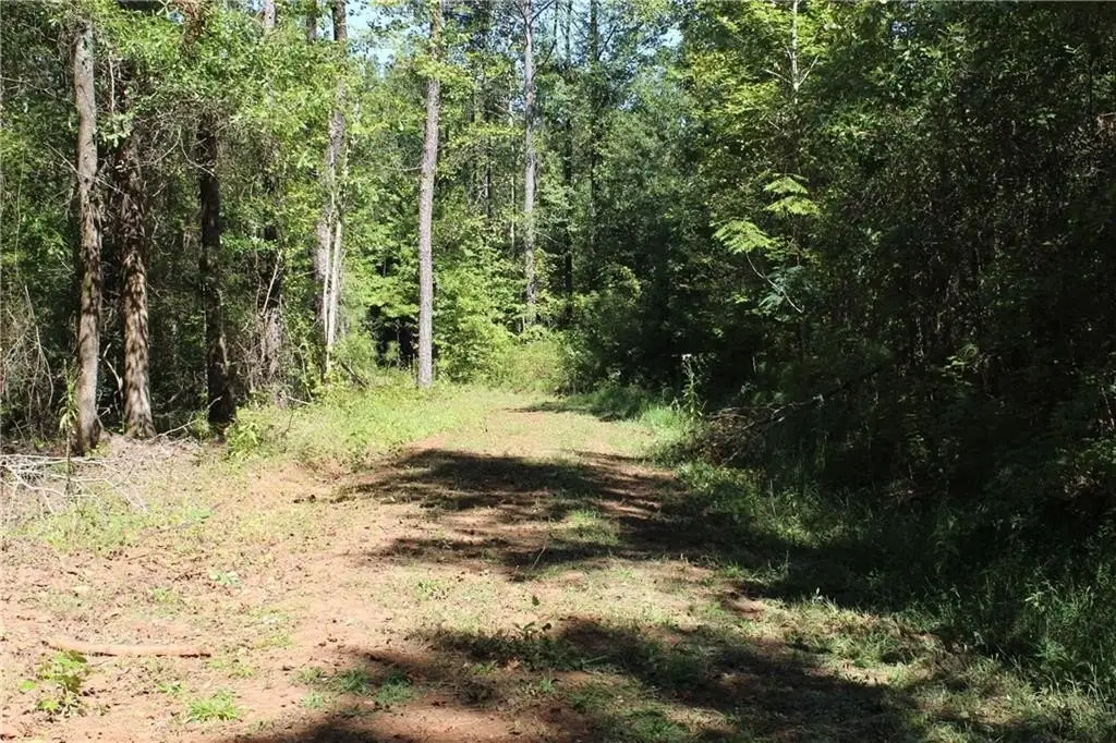 Picture 9