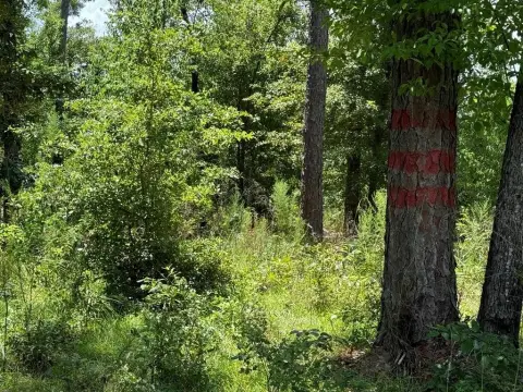 Residential Land with Lake Frontage