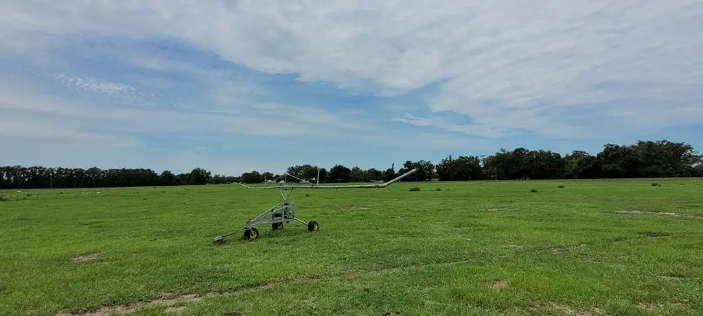 Picture 23