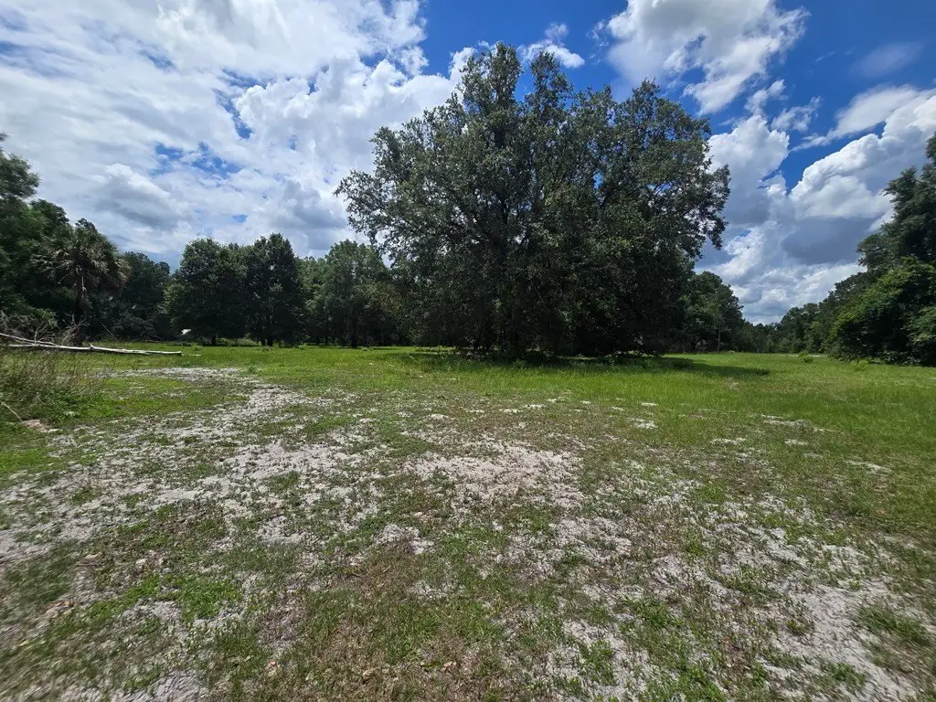 Picture 4