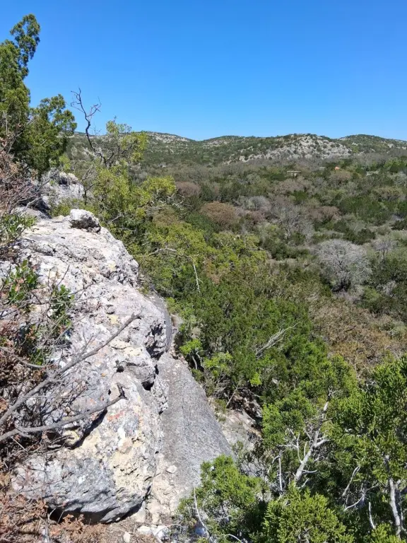 Picture 30