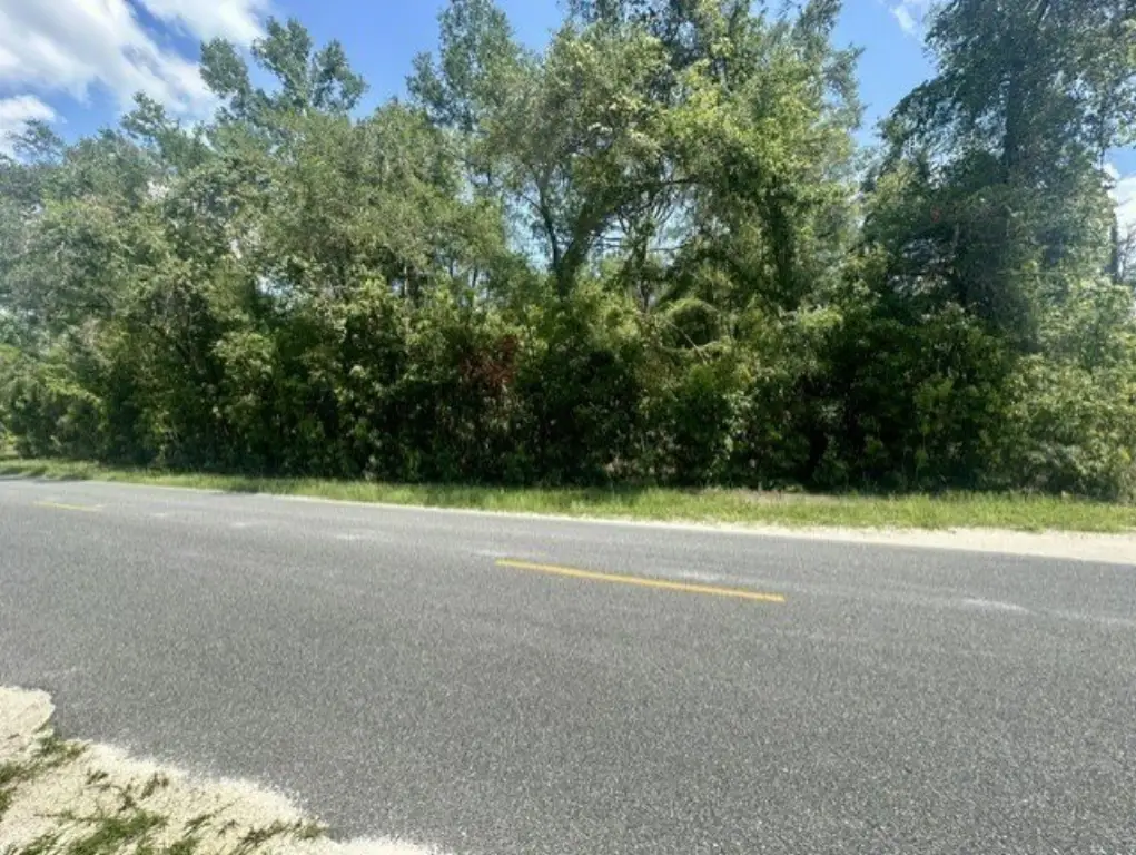 Picture 7