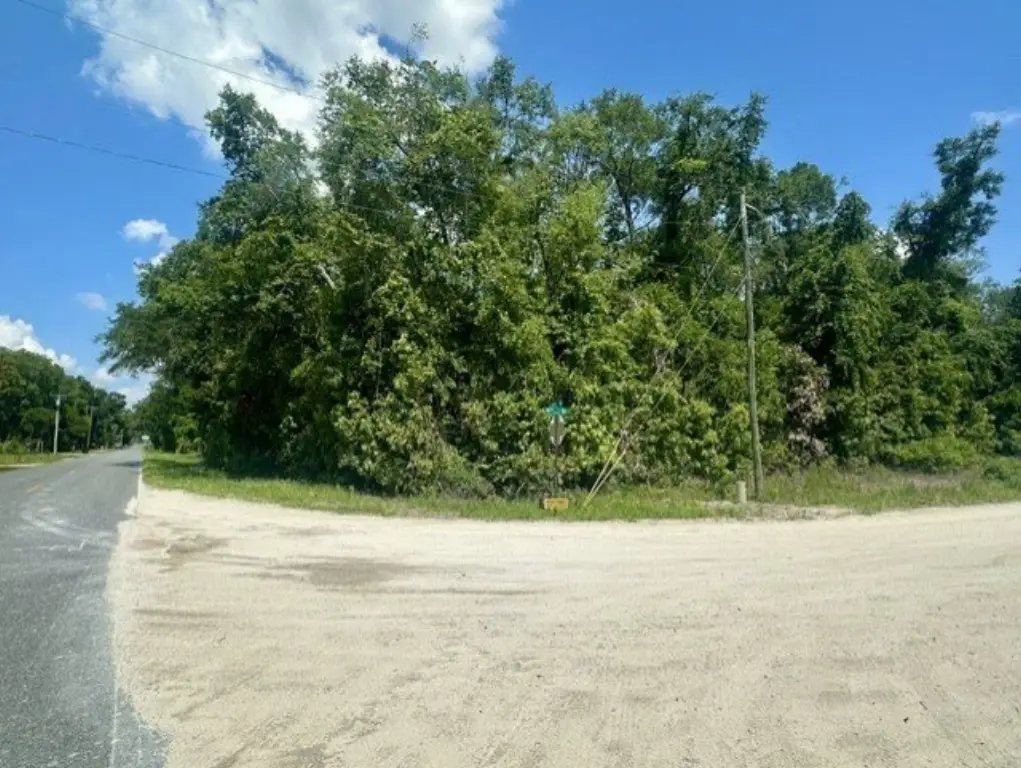 Picture 8