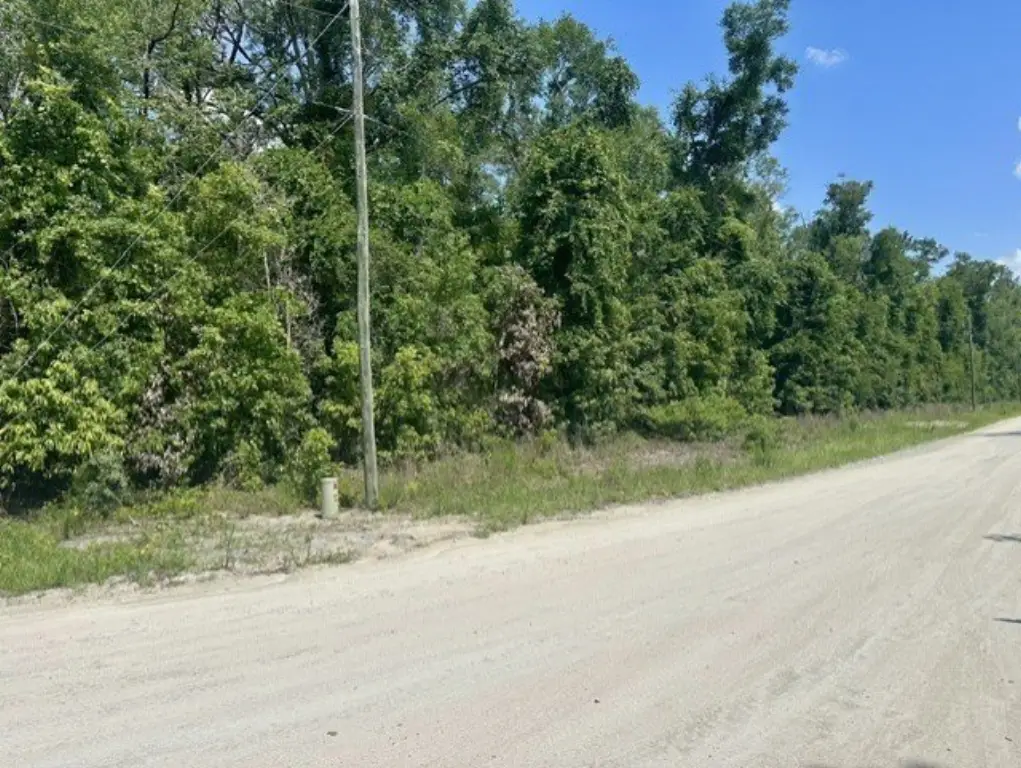 Picture 2
