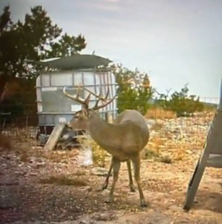 Picture 41