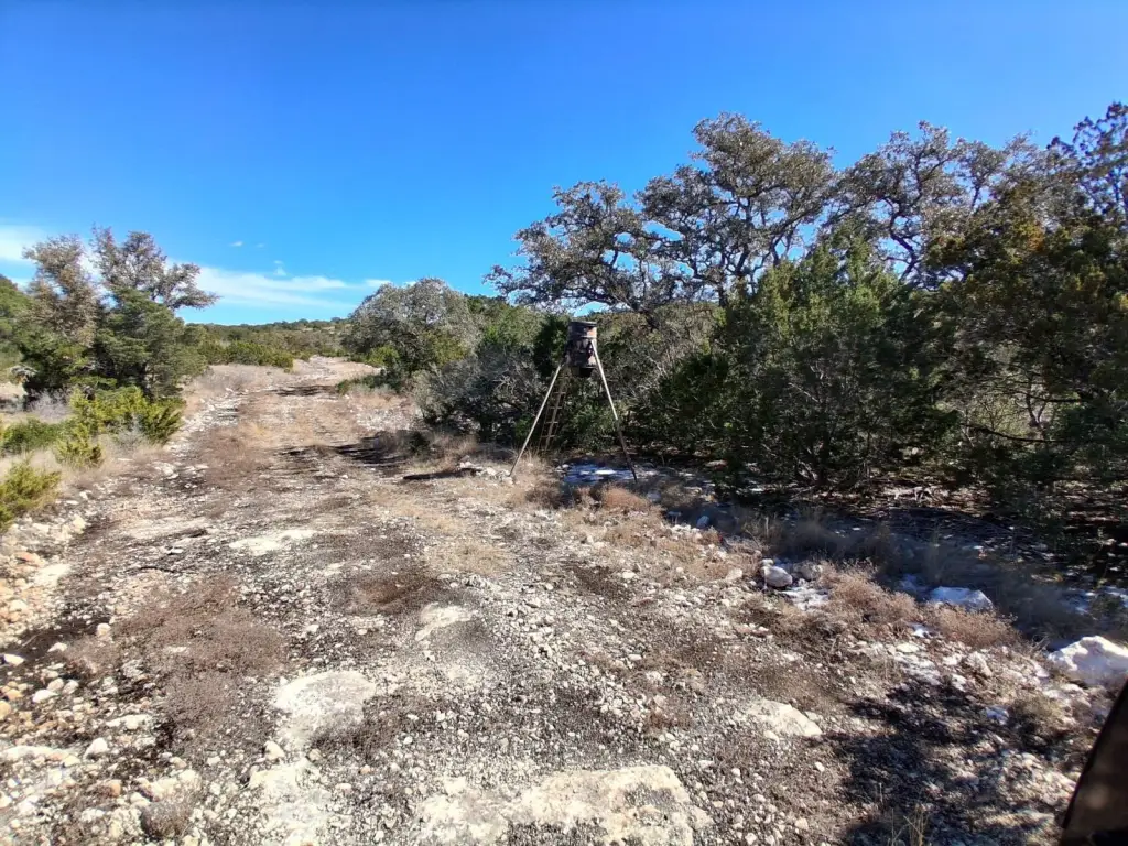 Picture 28