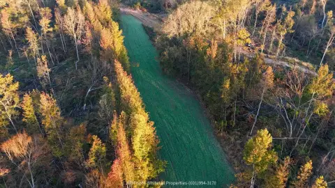 Hunting Land with Interior Roads