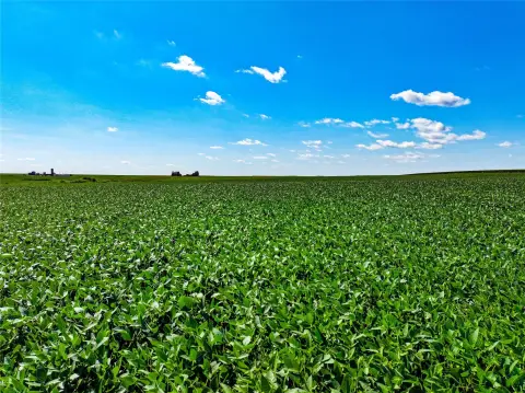 Productive Agricultural Farmland