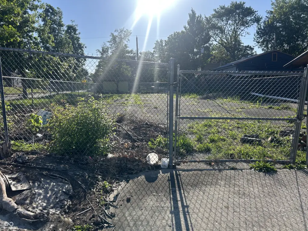 Picture 5