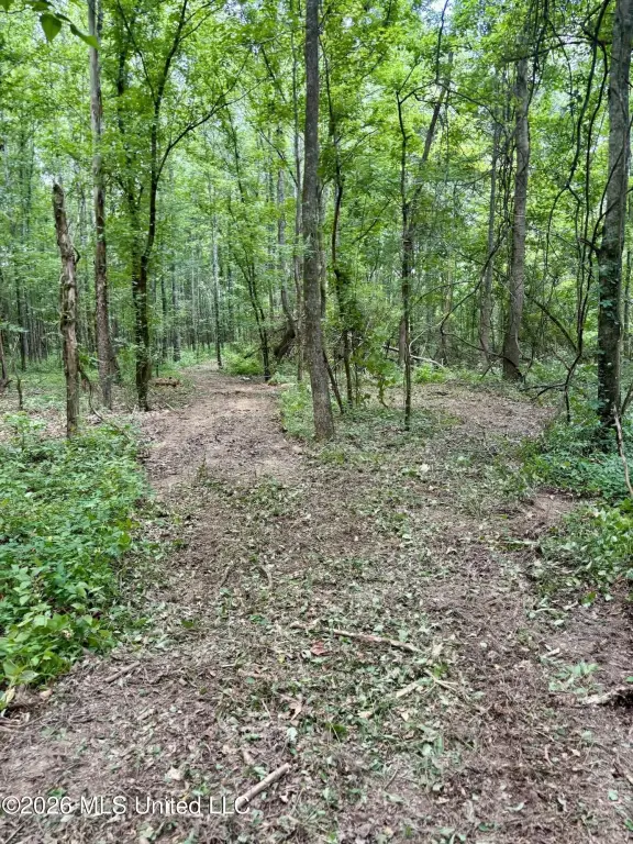 Picture 12