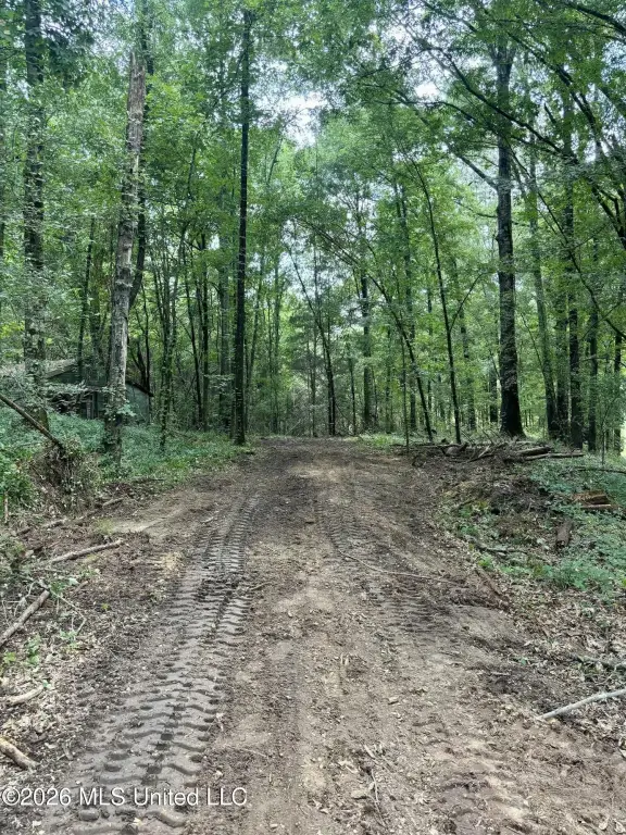 Picture 21