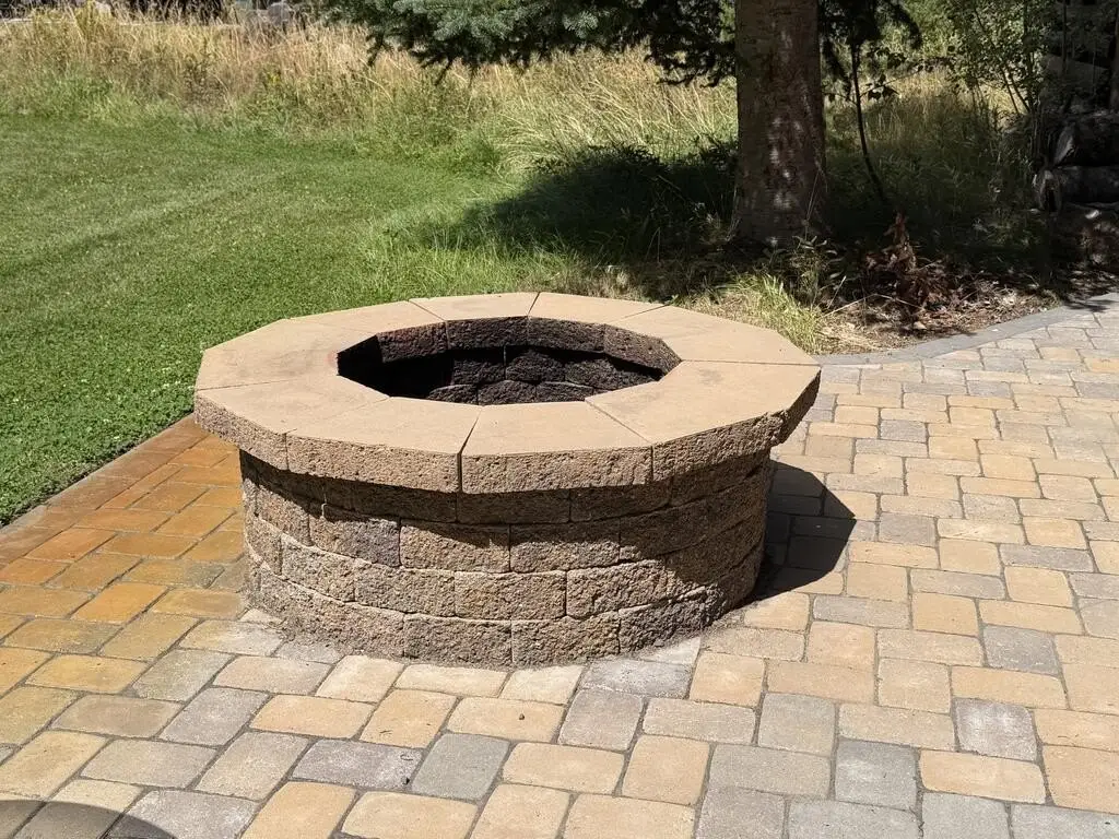 Picture 5