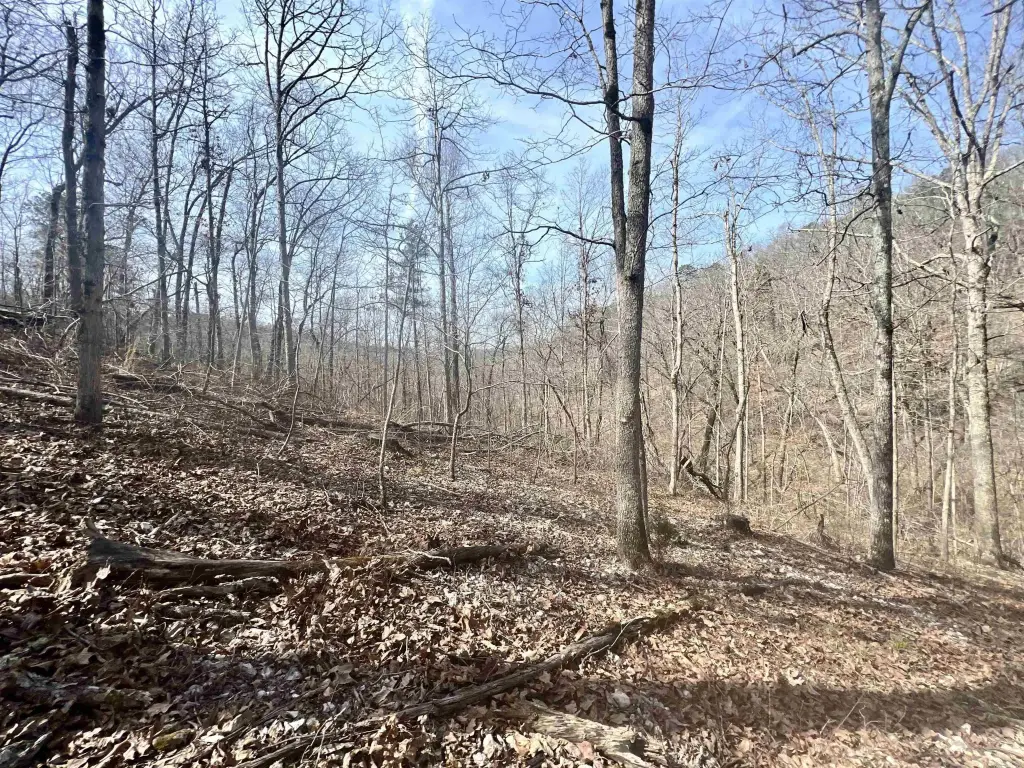 Picture 16