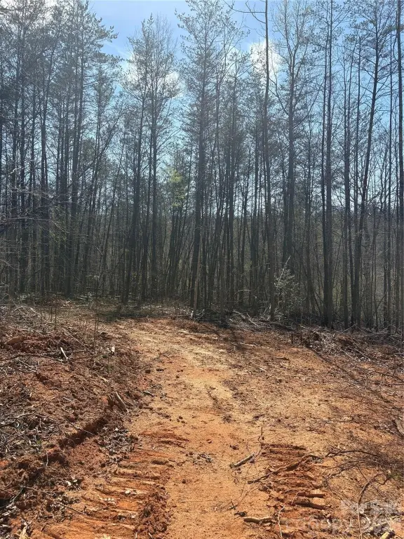 Picture 2