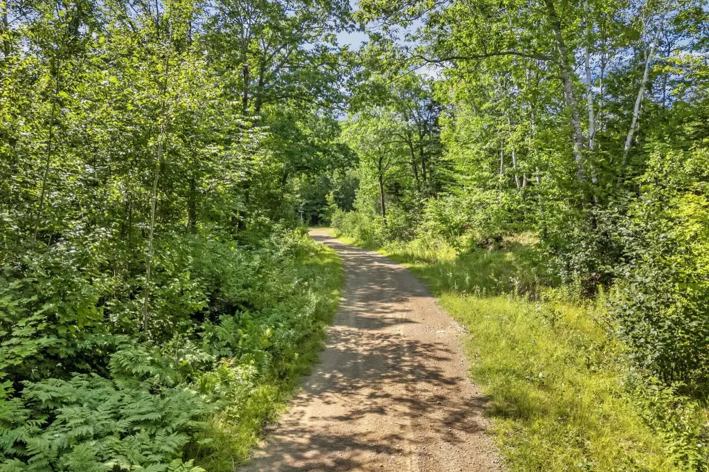 Picture 27