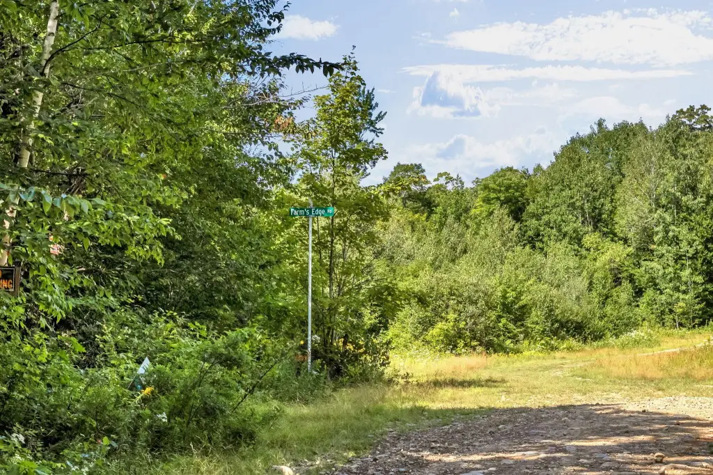 Picture 28