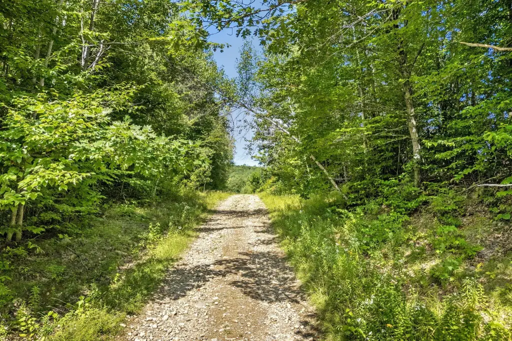 Picture 25