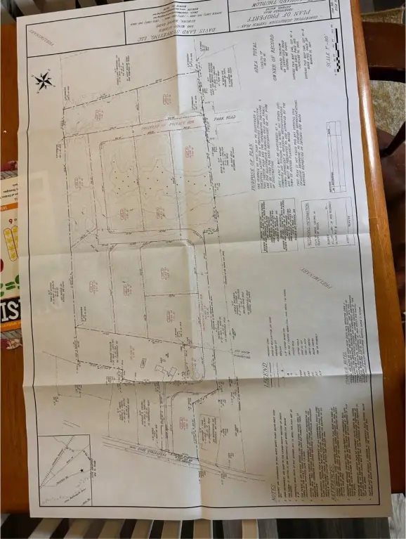Picture 3