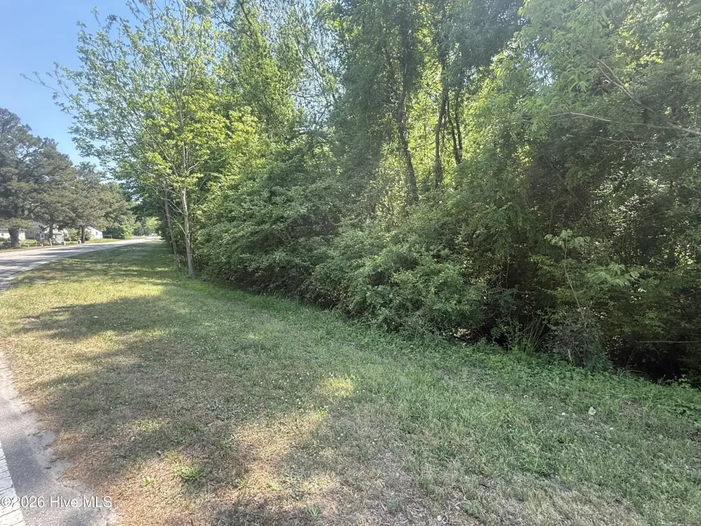 Picture 4