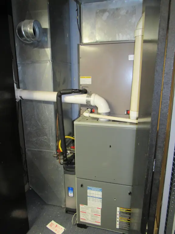 Picture 13