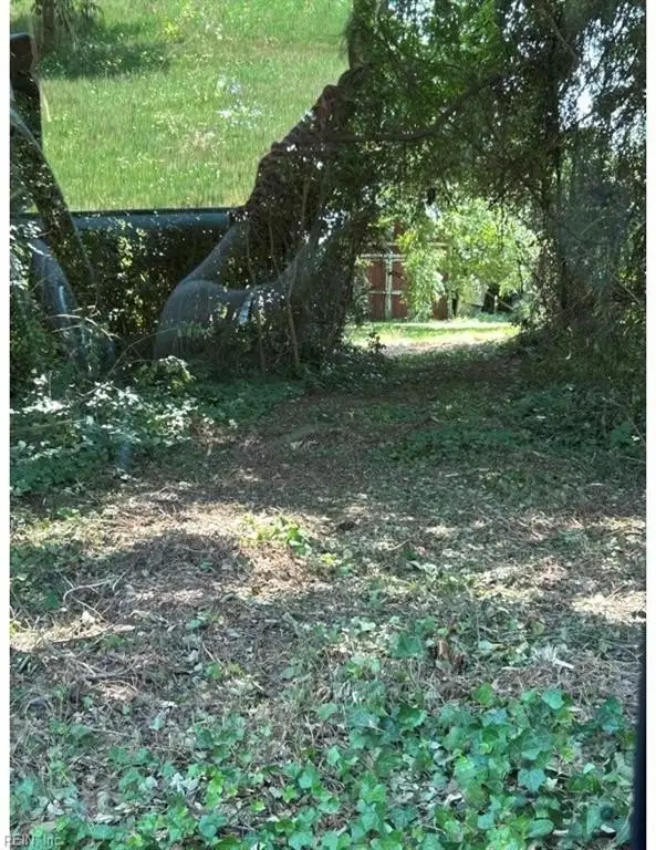 Picture 17