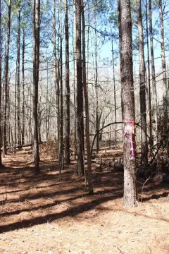 Residential Lot in Harrison, GA