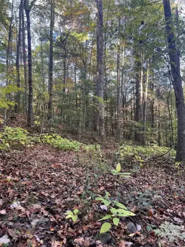 Mountain Land Parcel in Hot Springs