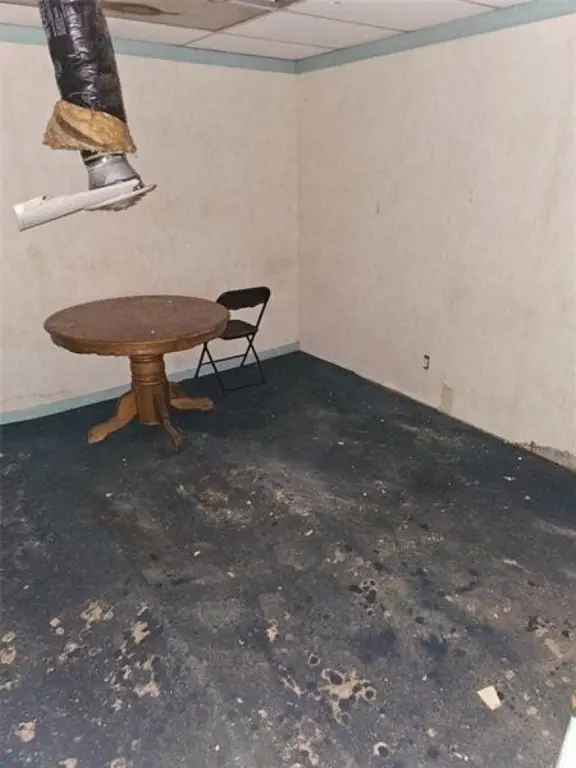 Picture 33