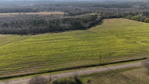 Residential Land in Headland, Alabama