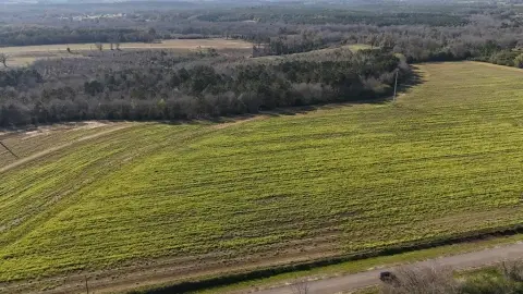 Residential Land in Headland, AL