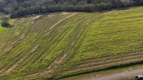 Residential Land in Headland, Alabama