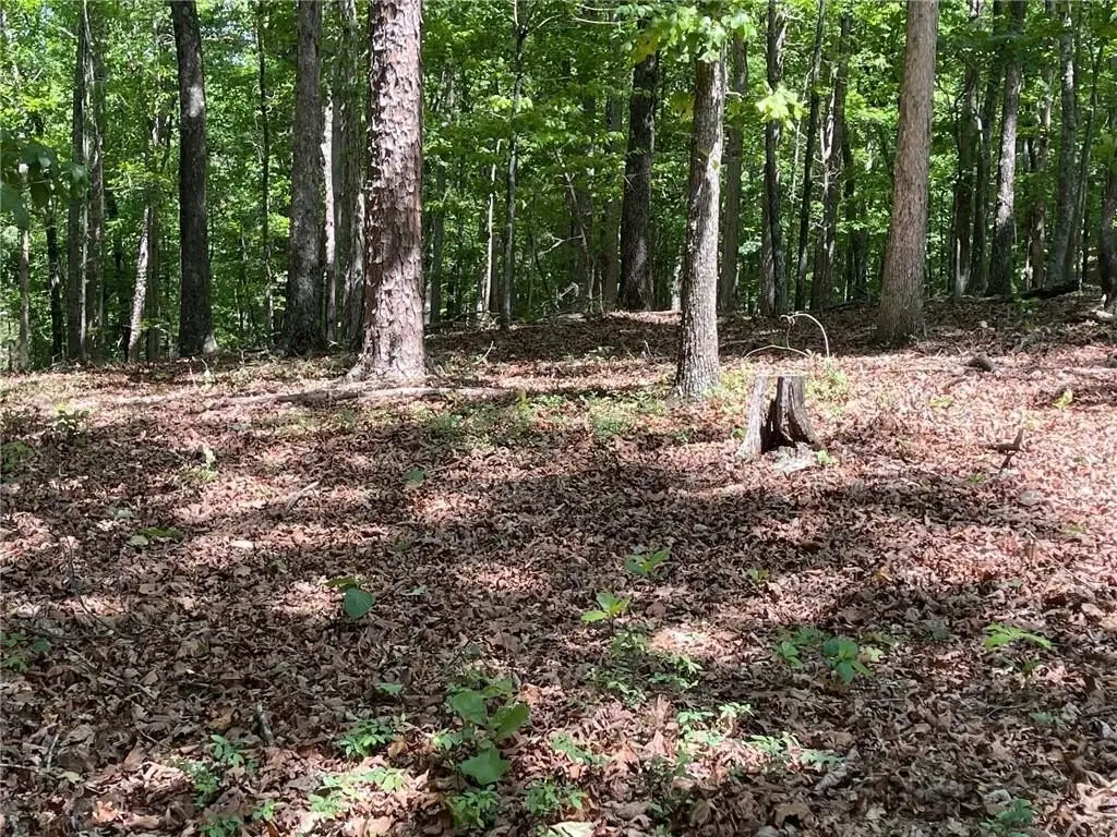 Picture 21