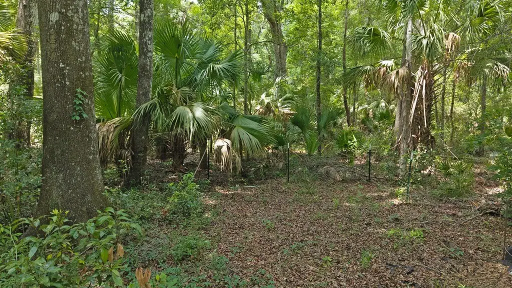 Picture 18