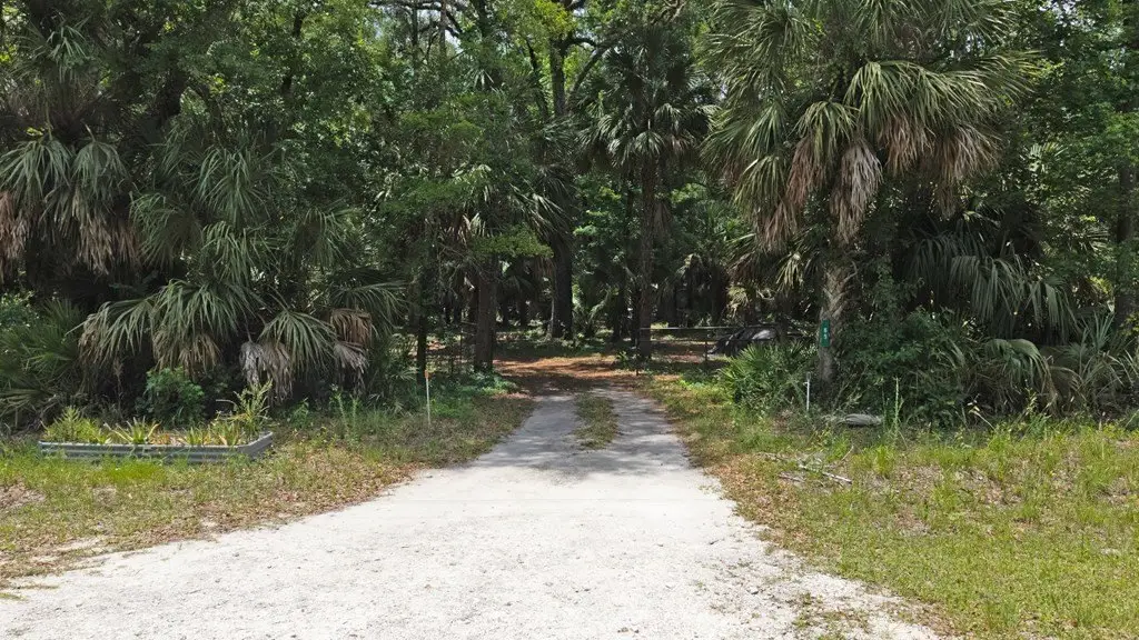 Picture 14