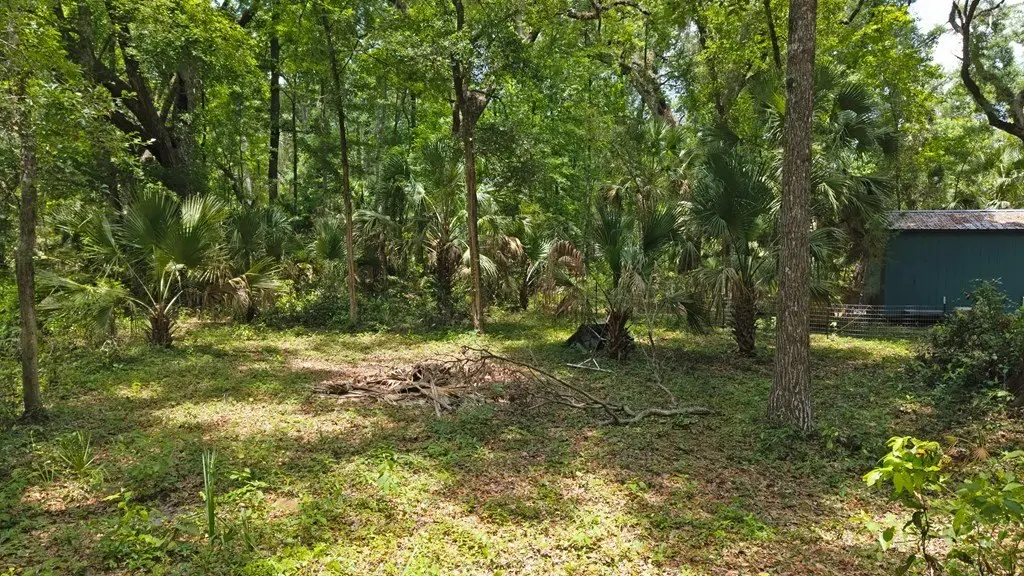 Picture 19