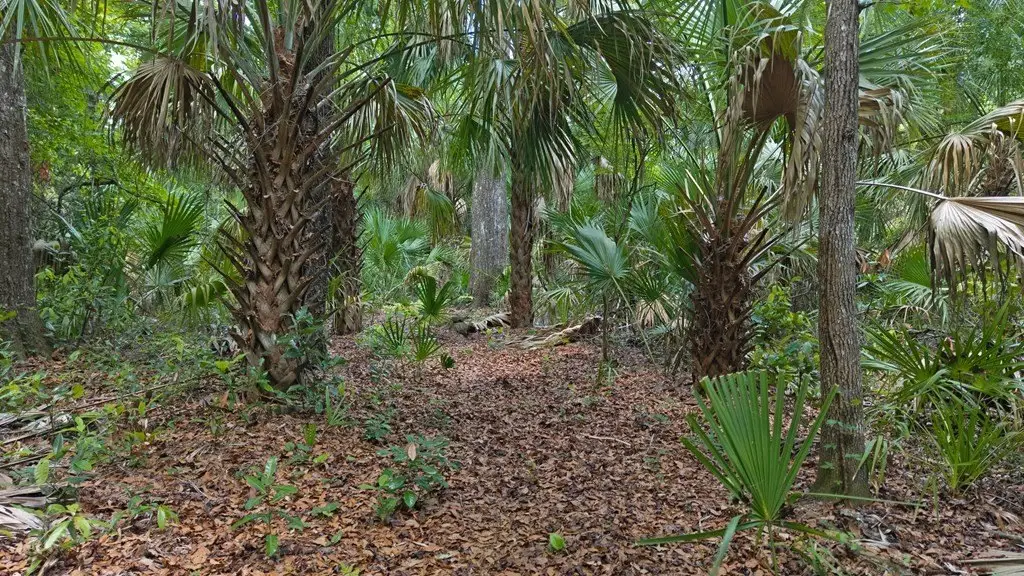 Picture 6