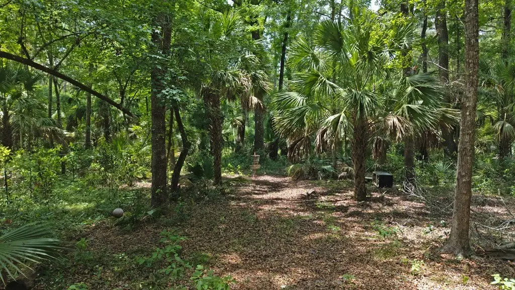 Picture 16