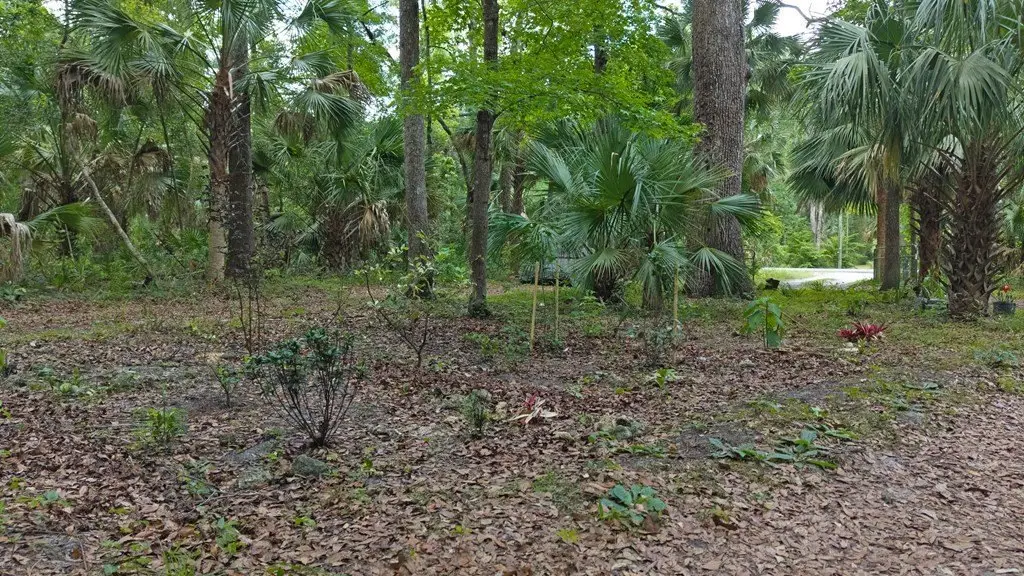 Picture 4