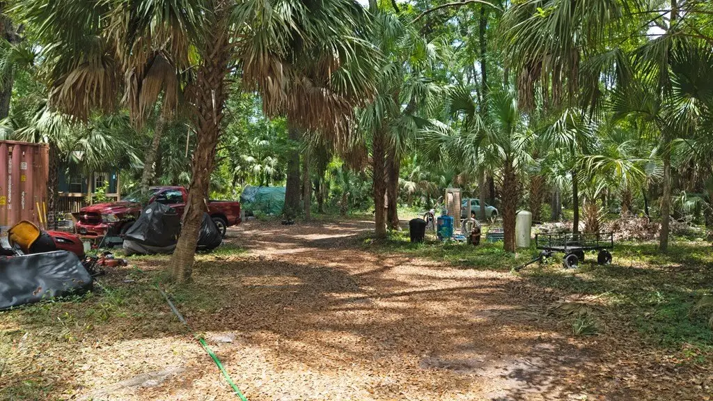 Picture 20