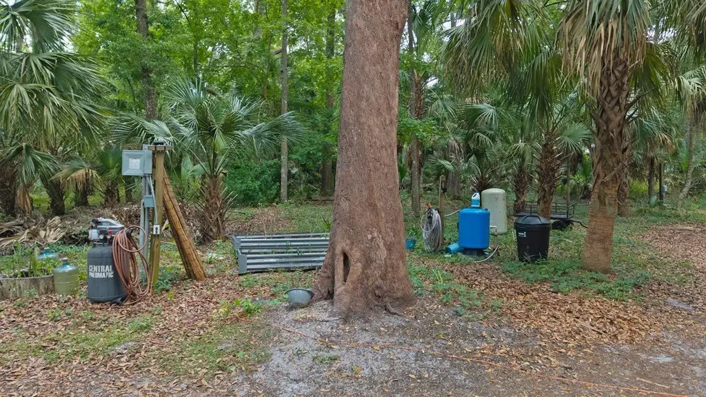 Picture 23