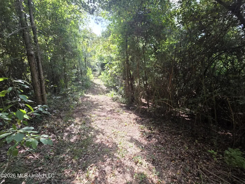 Picture 39