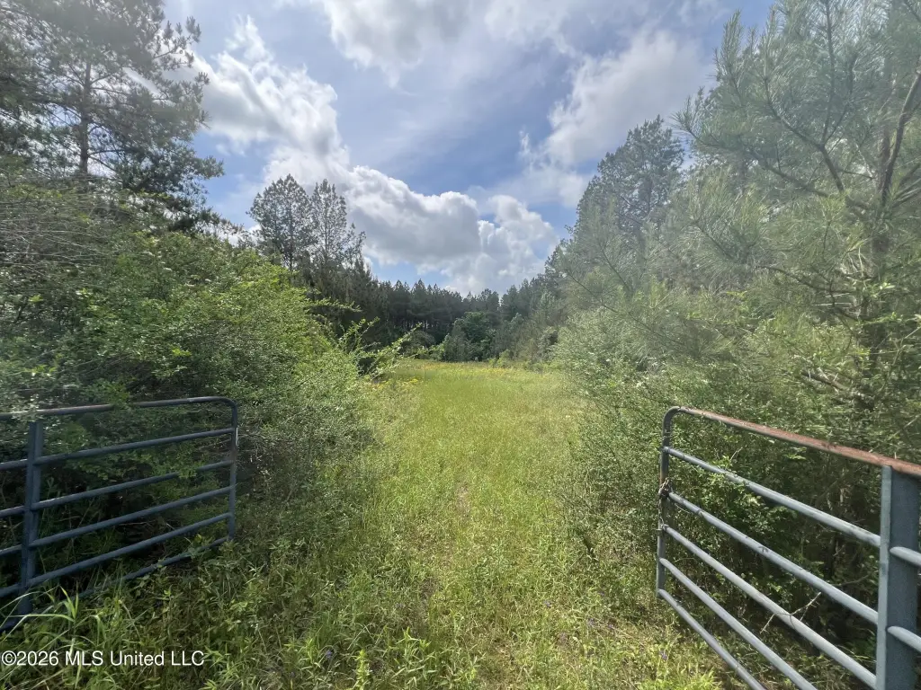 Picture 10