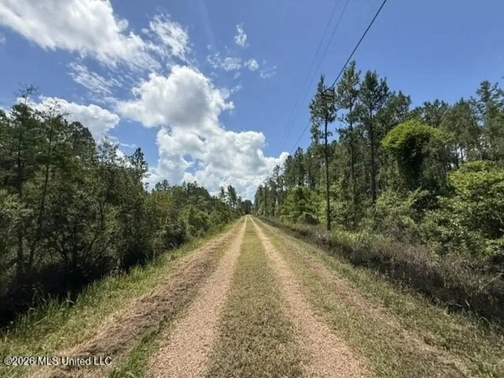 Picture 22