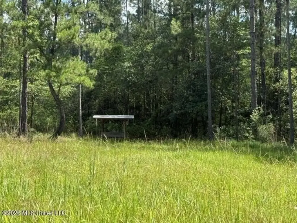 Picture 13