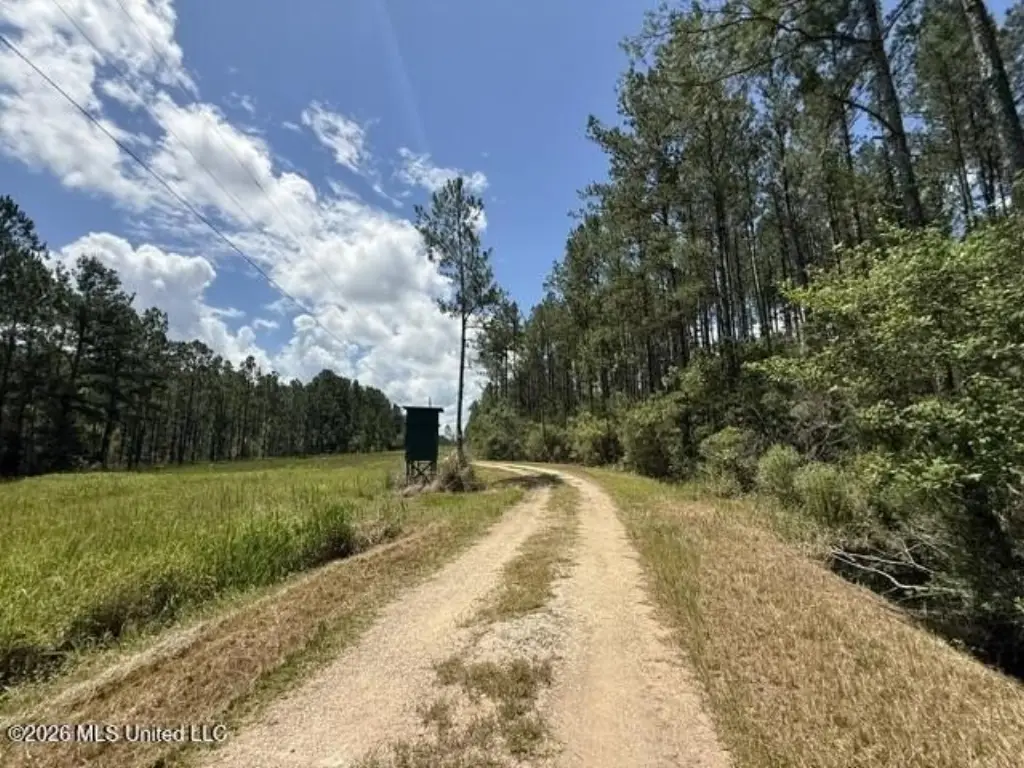 Picture 20