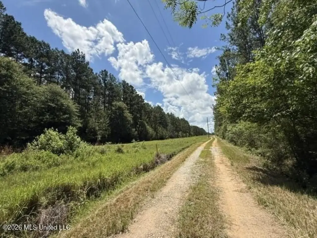 Picture 19
