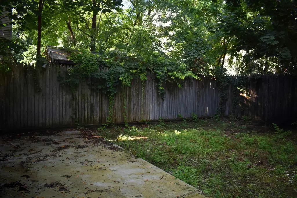 Picture 24